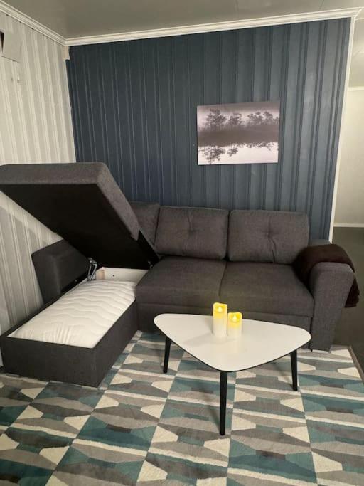 Spacious Apartment, 15 Min Walk To Center Апартаменты *
